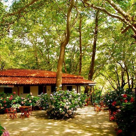 Parselia Rooms Θέρμα Εξωτερικό φωτογραφία
