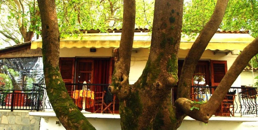 Parselia Rooms Θέρμα Εξωτερικό φωτογραφία