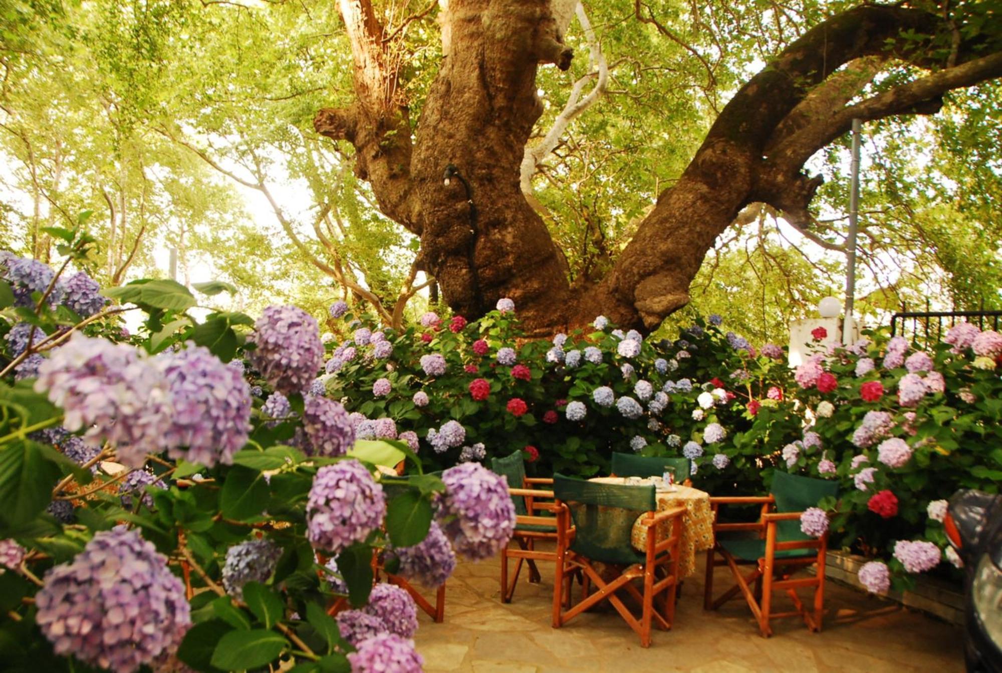 Parselia Rooms Θέρμα Δωμάτιο φωτογραφία