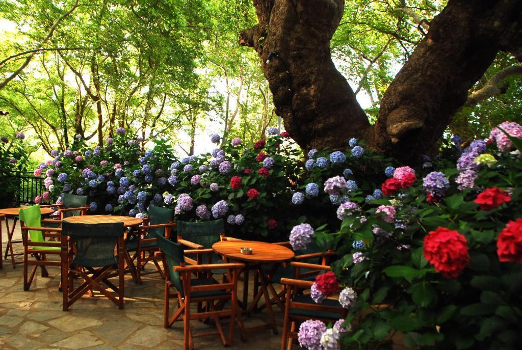 Parselia Rooms Θέρμα Εξωτερικό φωτογραφία